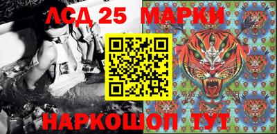 a pvp Ставрополь
