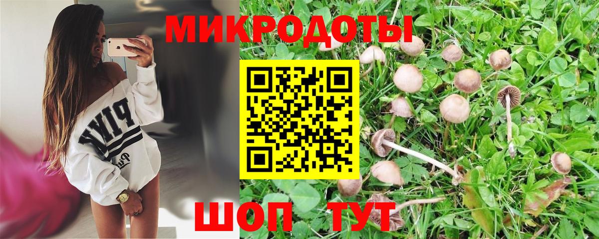 Псилоцибиновые грибы мухоморы Фурманов