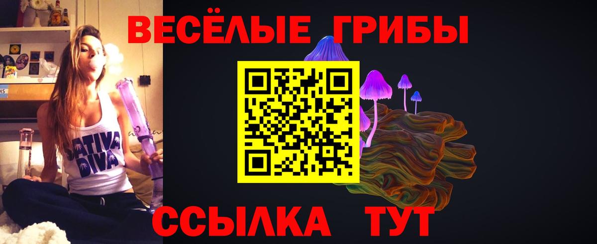 Галлюциногенные грибы прущие грибы  Вход с VPN  Псилоцибиновые грибы мицелий  Фурманов 